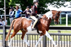 Gracie-And-ngoer-and-Allandy-Gold-Spark