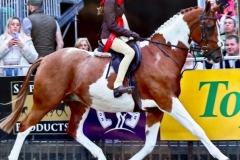 Gracie-Aungier-and-Allandy-Gold-Spark