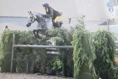 Holly-Logan-Horse_Pony-Owens-shadow