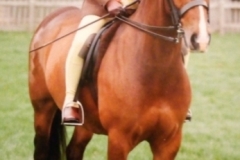 Imogen Megeney and Bathleyhills Smart Decision (Edward)