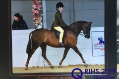 Tammy Campbell and Tremarl Bubble Bee