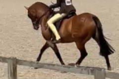 Ellie-harrington-and-Roseberry-royal-occasion