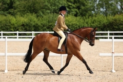 Madison-Crane-and-Tandridge-First-Edition