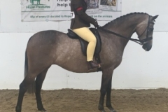 Poppy-Parkin-and-Blakestones-Cyclamen