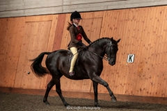 Charlotte-Goor-and-Underhill-Bobcat