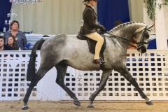 Maddison-Maguire-and-Hollyland-Lion-In-Winter