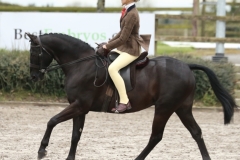 Charlotte-Goor-and-Underhill-bobcat