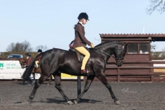 Milly-Philipson-Horse_Pony-GTown-Sensation