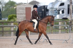 Niamh-Evans-Horse_Pony-Highmead-Maybe-The-Truth