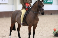 Ruby-Murfitt-Horse_Pony-Roseberry-Midnight-Dancer