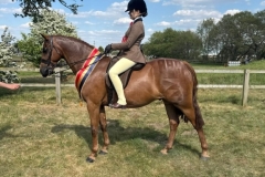 Sofia-Anders-Horse_Pony-Annandale-Super-Trouper