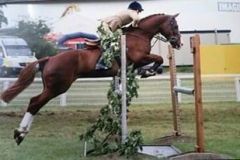 Chloe Burrough & Hares Razzmatazz