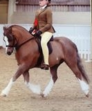 Jessica Oldknow and Friars Heartbreaker