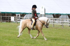 Louise Eyres and Glebedale Sidelined