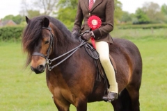 Zara Scudamore and Moortown Honey Boy