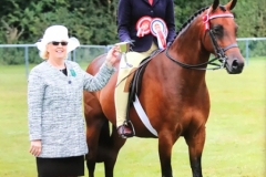 Emmy-Parkhouse-and-Jackets-Destiny-2