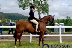 Eva-morgan-and-Romano-hot-spot