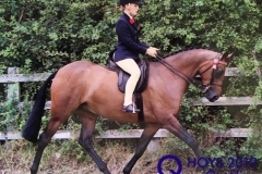 Victoria-Harker-and-Blakestones-Moonlight-Serenade