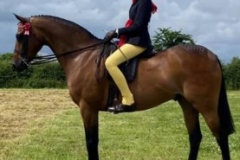 Ellie-Harrington-and-Roseberry-final-edition