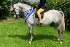 Maddison-Maguire-and-Hollyland-Lion-In-winter