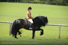 Beth Ahmet and Aquilas Stud Pendragon