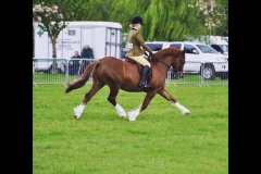 Anna Stacey and Mowcastle Mickey