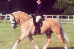 Lauren paynter Soden Gwynfor