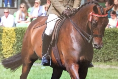 Glen Allen and Whalton extravaganza