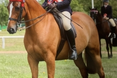 Alice-Binks-and-Roseberry-Fascinator