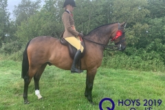 Darci-May-Barnes-and-Greylands-Sumdance-Kid