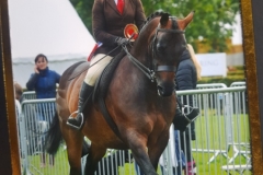 Katie-Ashcroft-and-Brindlebrook-Under-Suspicion_