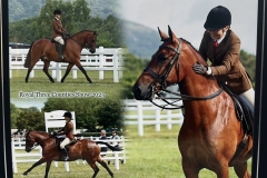 Lillie-Moult-Wood-Horse_Pony-Ballindown-Sunrise-