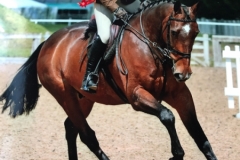 Ellie Callwood and Ennis Boy copy