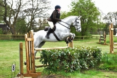 Darcy-Sproat-Horse_Pony-Dinarthall-Bomber