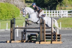 Hariette-Lowther-Horse_Pony-Millstones-warboy