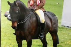 Bradley Dogan and Tambrook Prayer In C