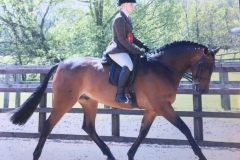 Daisy Darby and Political Spin