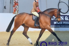 Darci Barnes and Greylands Sundance Kid copy