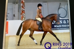 Darci Barnes and Greylands Sundance Kid