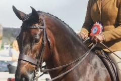 Eve Duggan and Withymoor Damsel