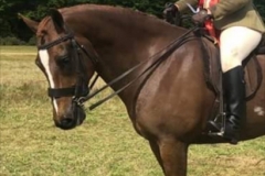 Lauren Hatswell and Parciau Wil Bach