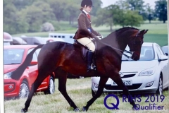 Marnie dunne and Fielding fairytale