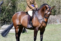 Alice-Cobden-and-Mawgans-Ruby