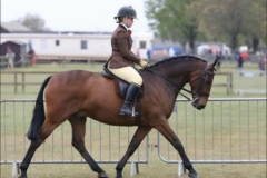 Alicia-Light-and-Gallant-George