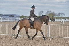 Daisy-Darby-and-Political-Spin