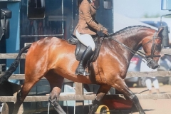 Sydney-Head-and-Talmoor-Rooney