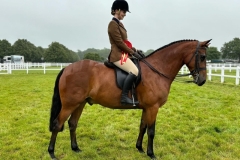 Lillie-Moult-Wood-and-Ballindown-Sunrise