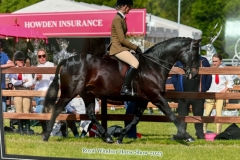 Ellie-Harrington-Horse_Pony-Merrycorner-mister-bui