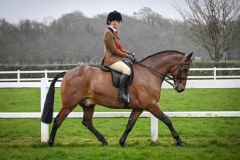 Lillie-Moult-Wood-Horse_Pony-Ballindown-Sunrise_