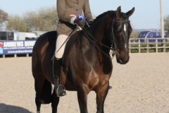 William Hall and Updown Dante 